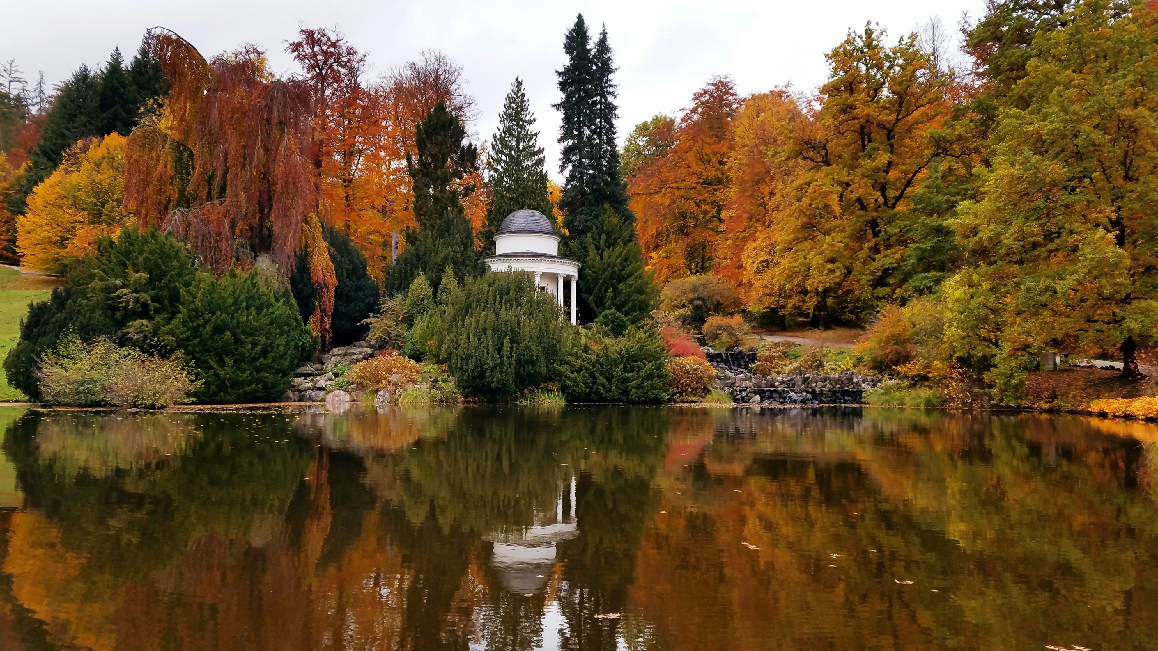 An illustrative photo of a lake surrounded with orange trees.