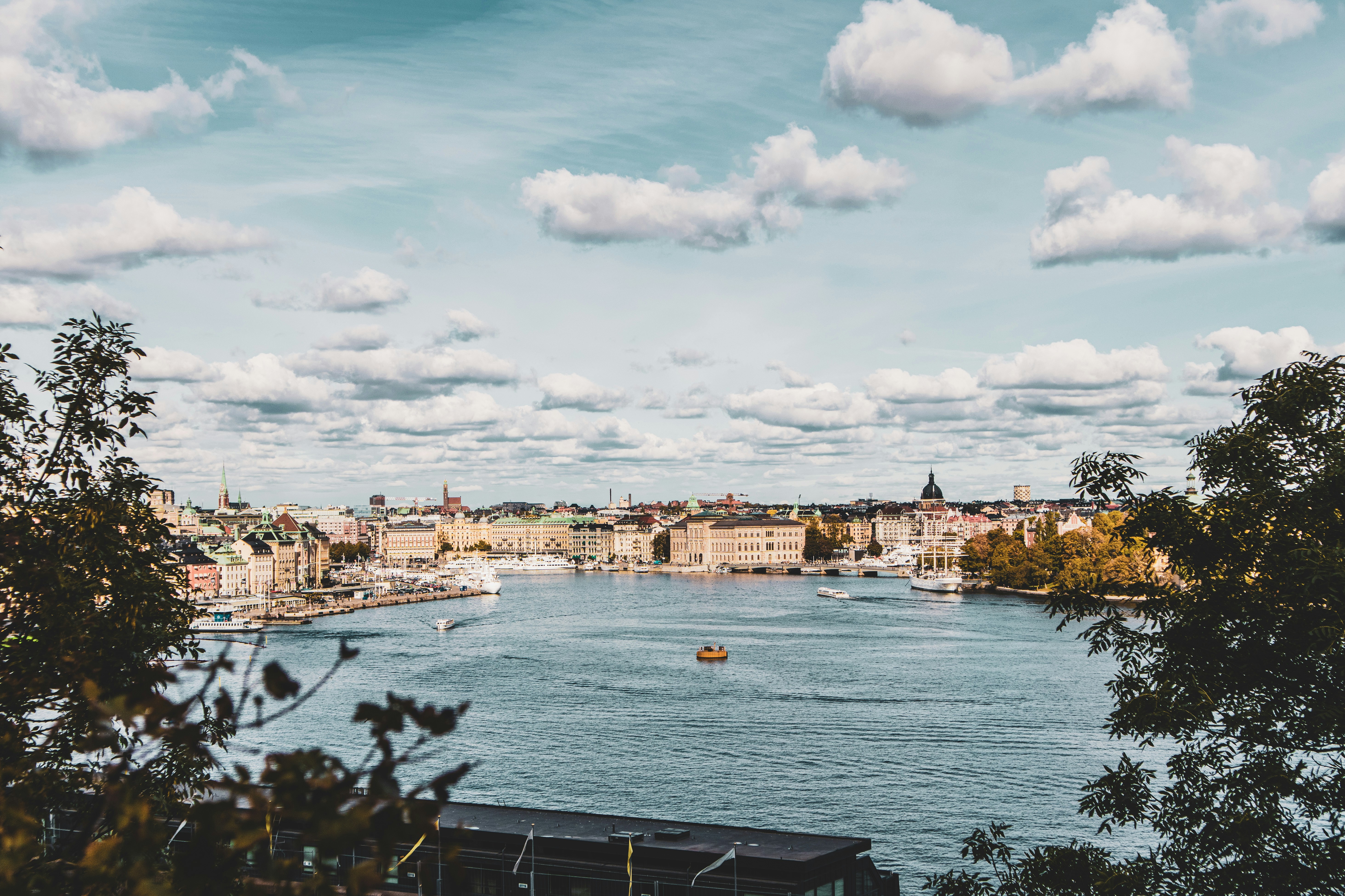Photo by Unsplash An illustrative photo of body of water and beige concrete buildings.