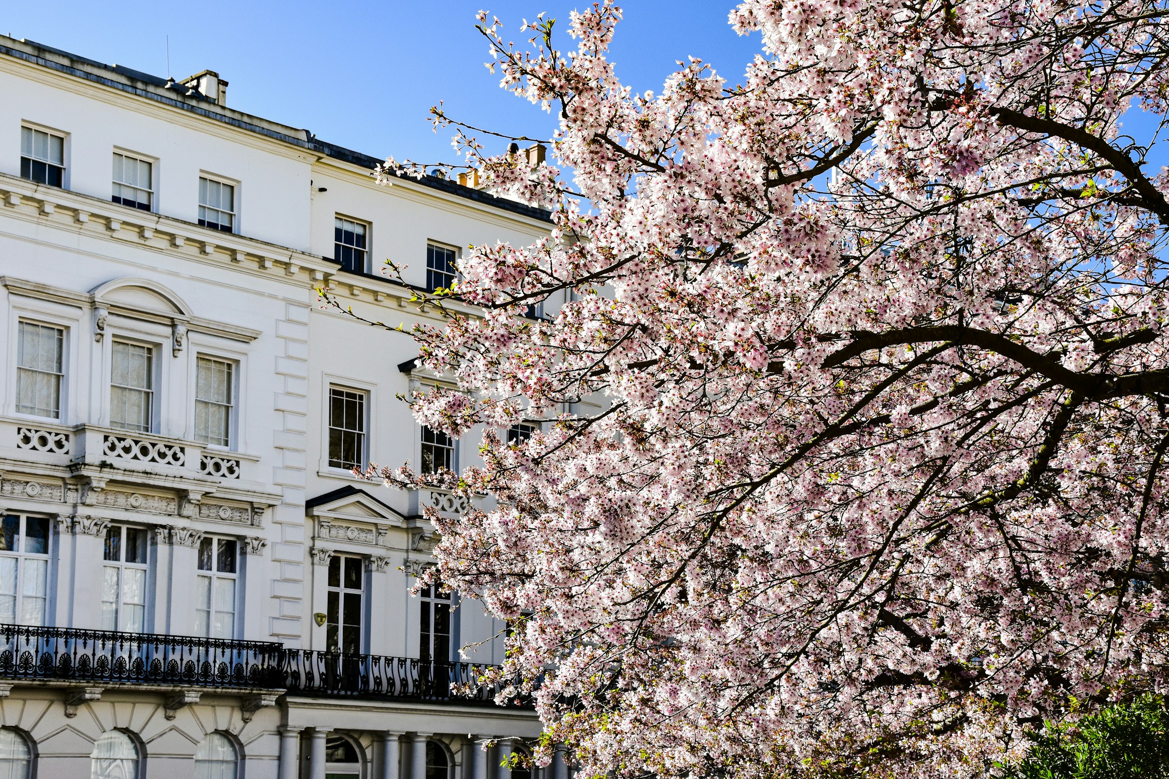 Photo by Unsplash An illustrative photo of a large white building with a tree in front.