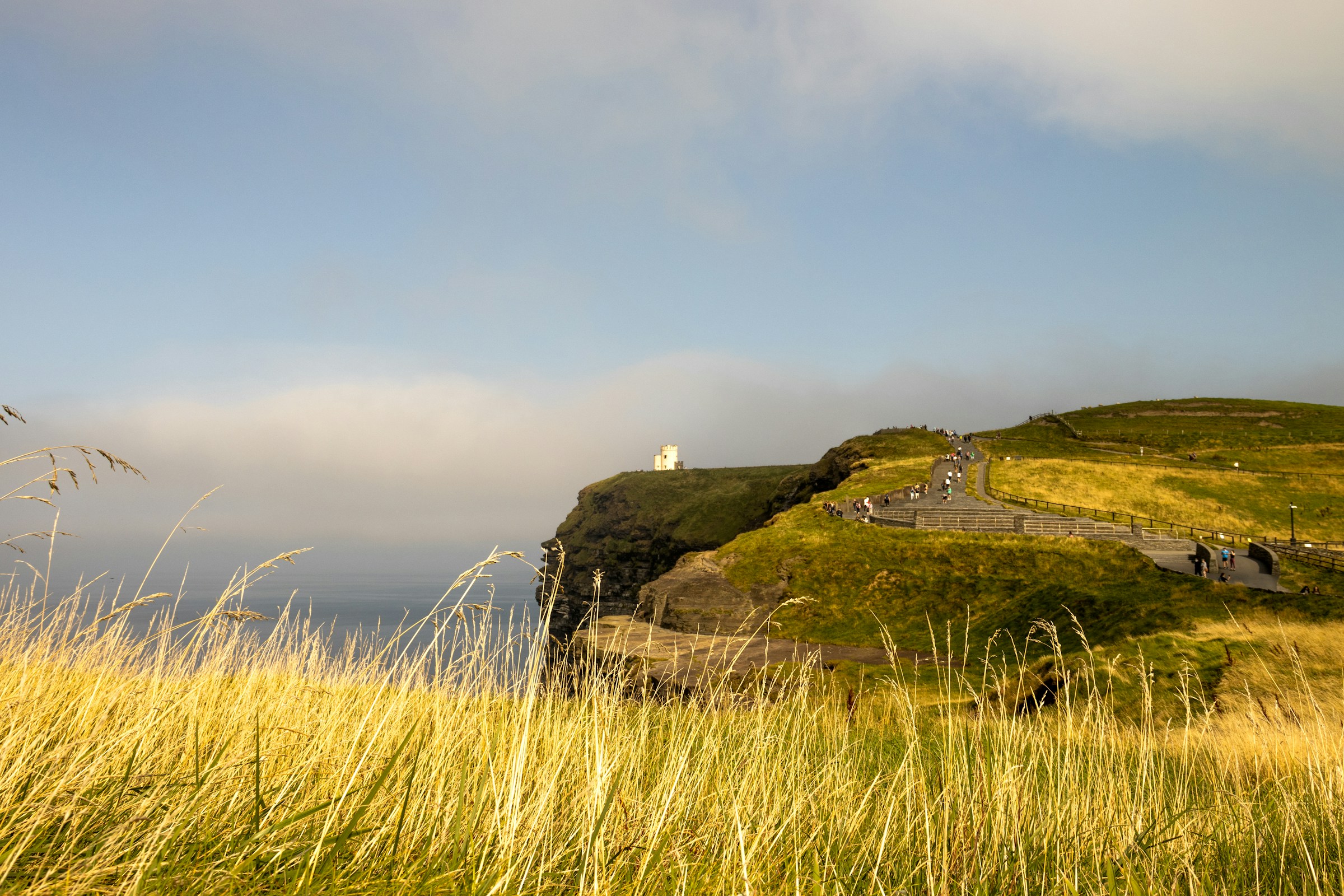 Photo by Unsplash An illustrative photo of a grassy hill.