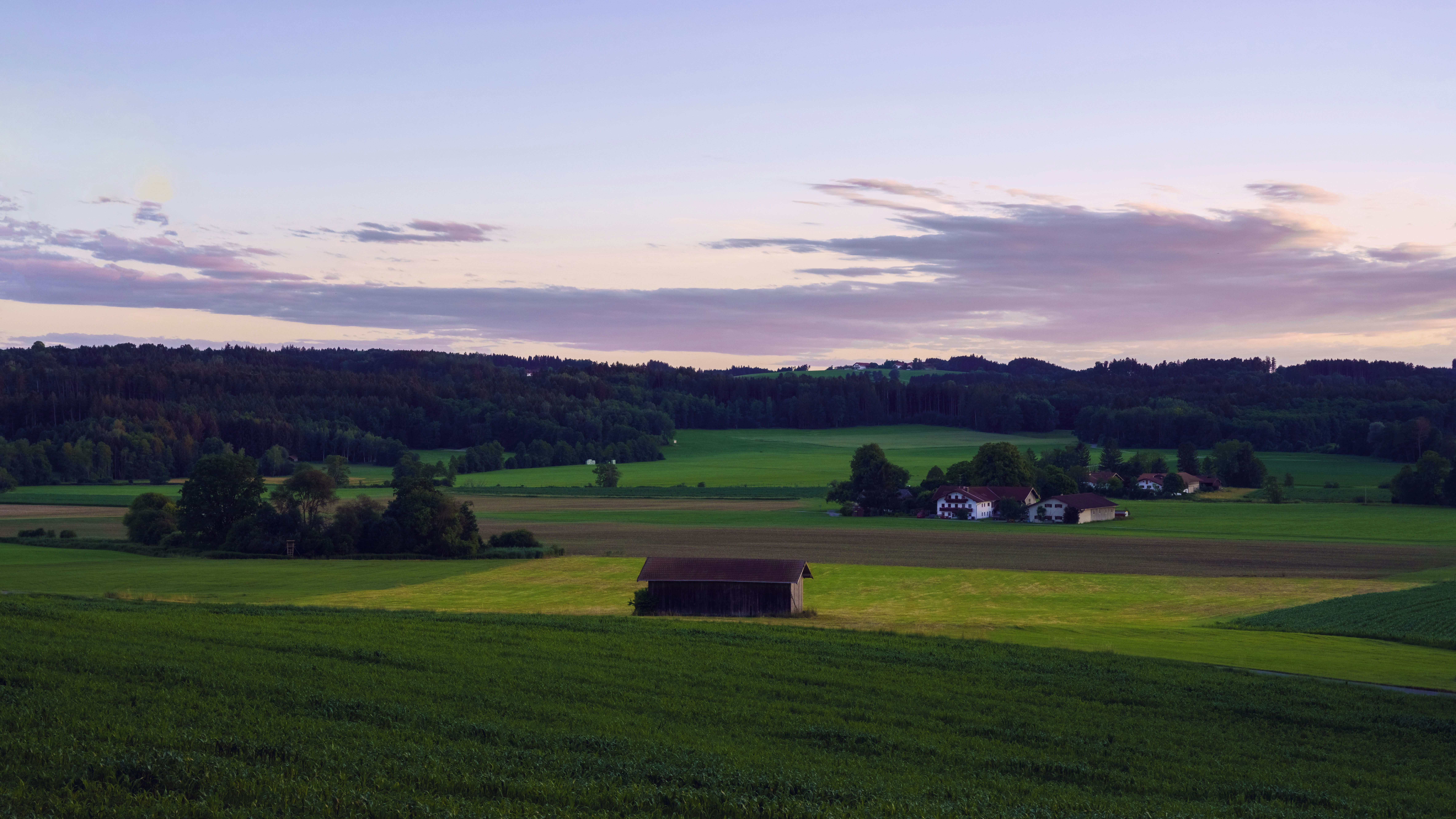 Photo by Unsplash An illustrative photo of houses in a large green field.