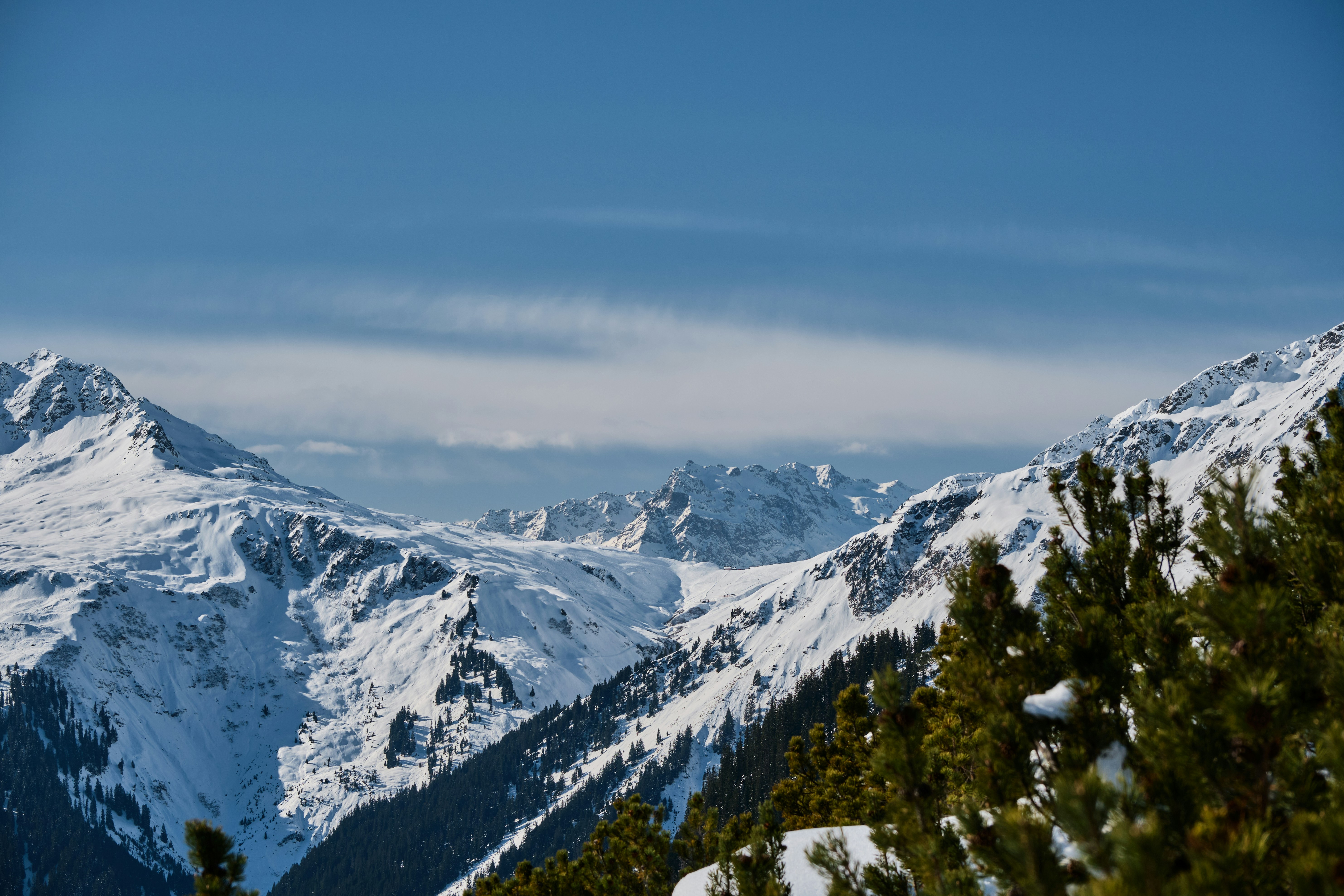 An illustrative photo of a snowy mountain range with pine trees in the foreground.