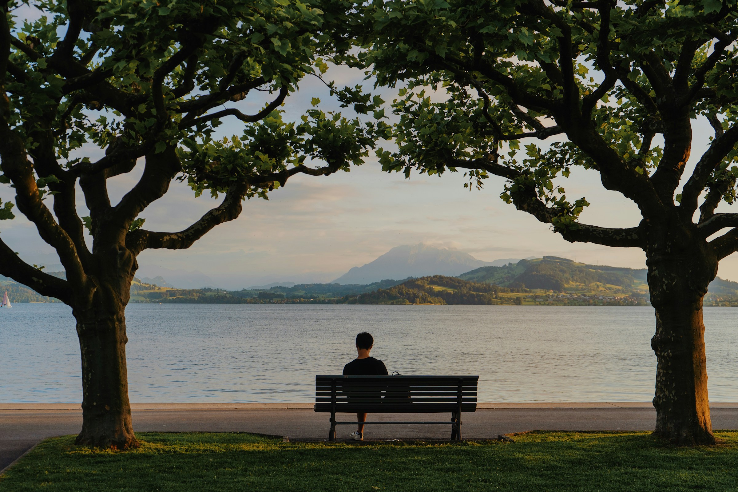 Photo by Unsplash An illustrative photo of a person sitting on a bench near some trees.