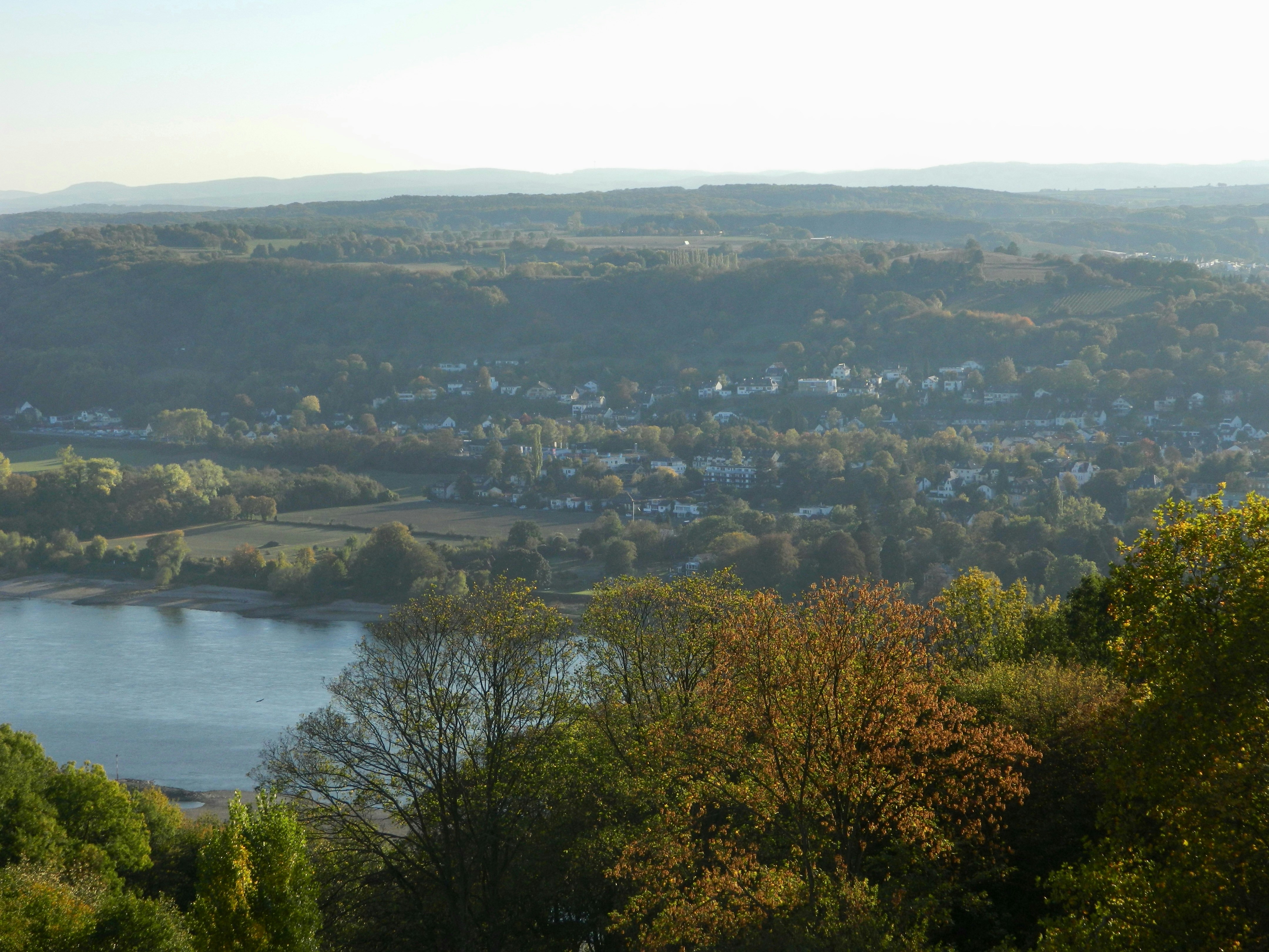 An illustrative photo of a view of a lake and a city from a hill.
