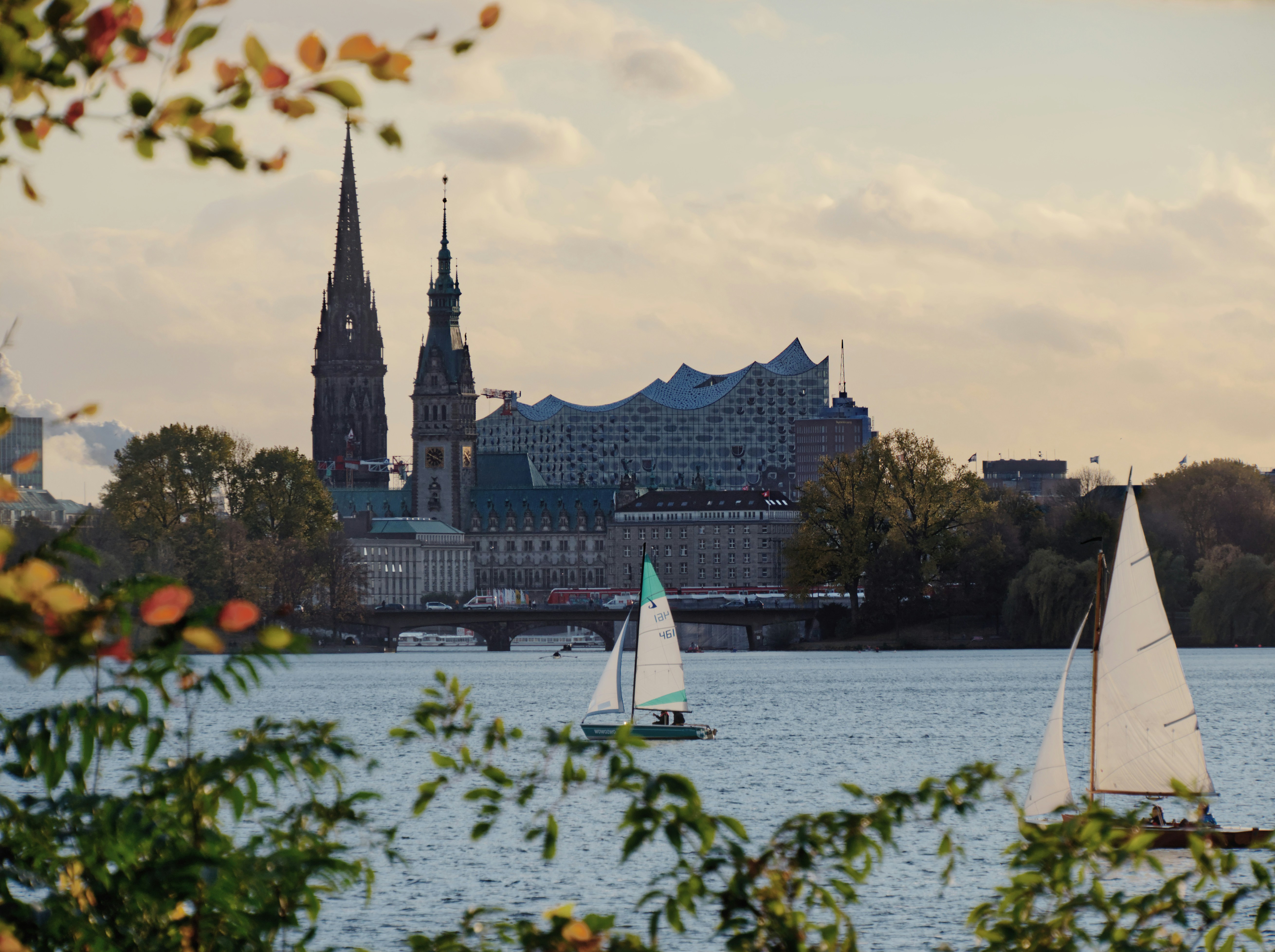 An illustrative photo of a white sail boat on water near city buildings.
