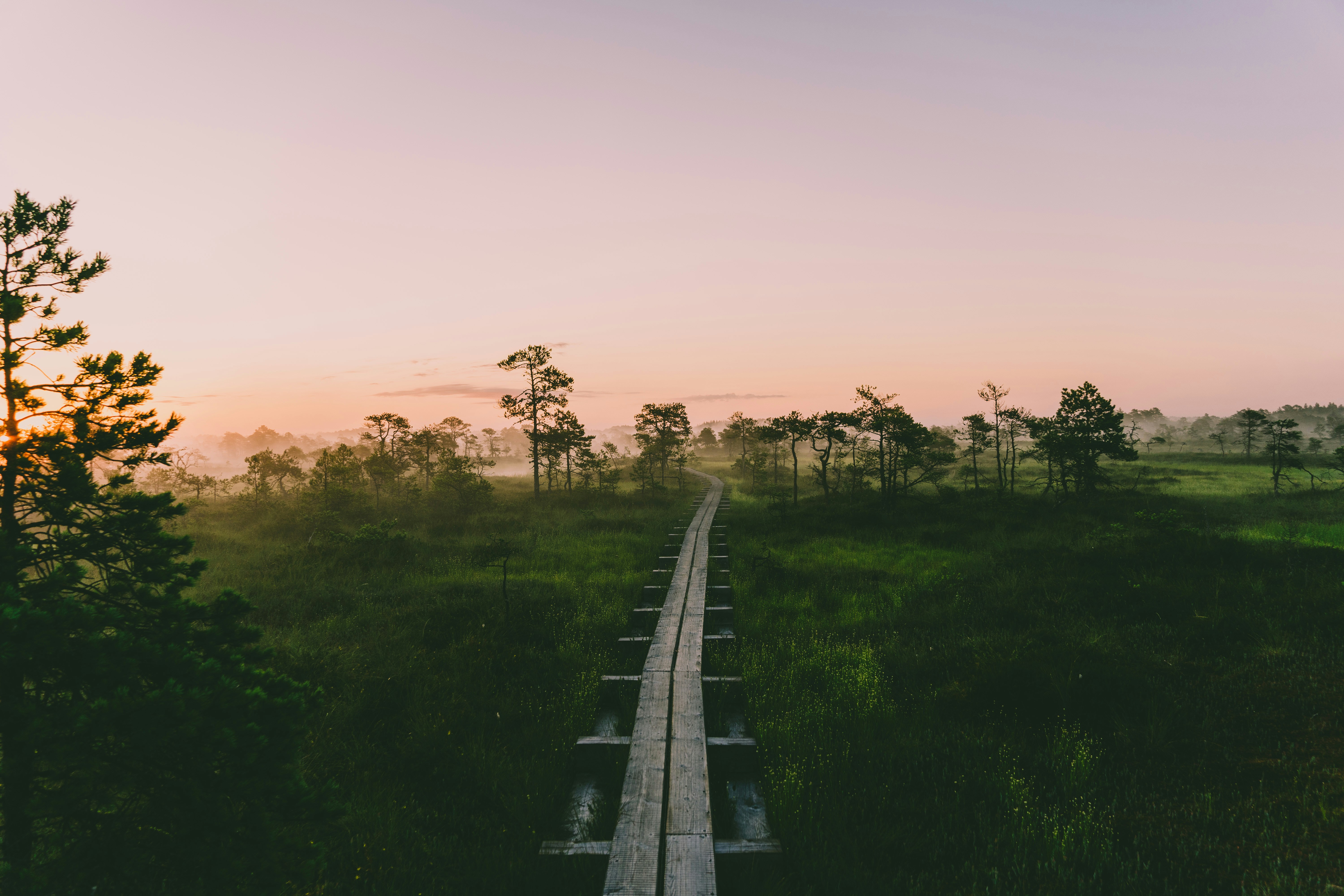 An illustrative photo of a wooden road between green grass field during sunset.