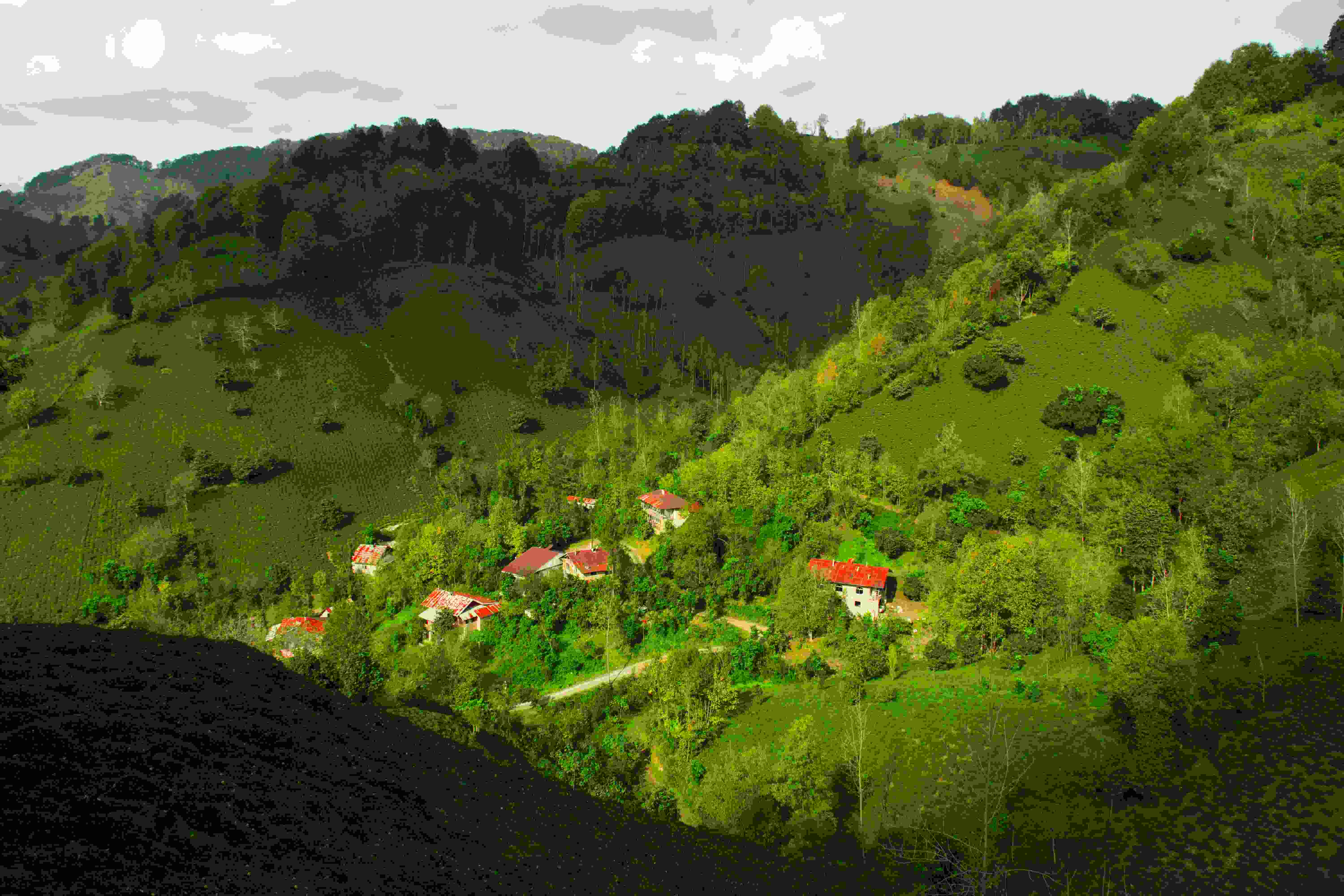 Photo by Unsplash An illustrative photo of houses on a green hillside.