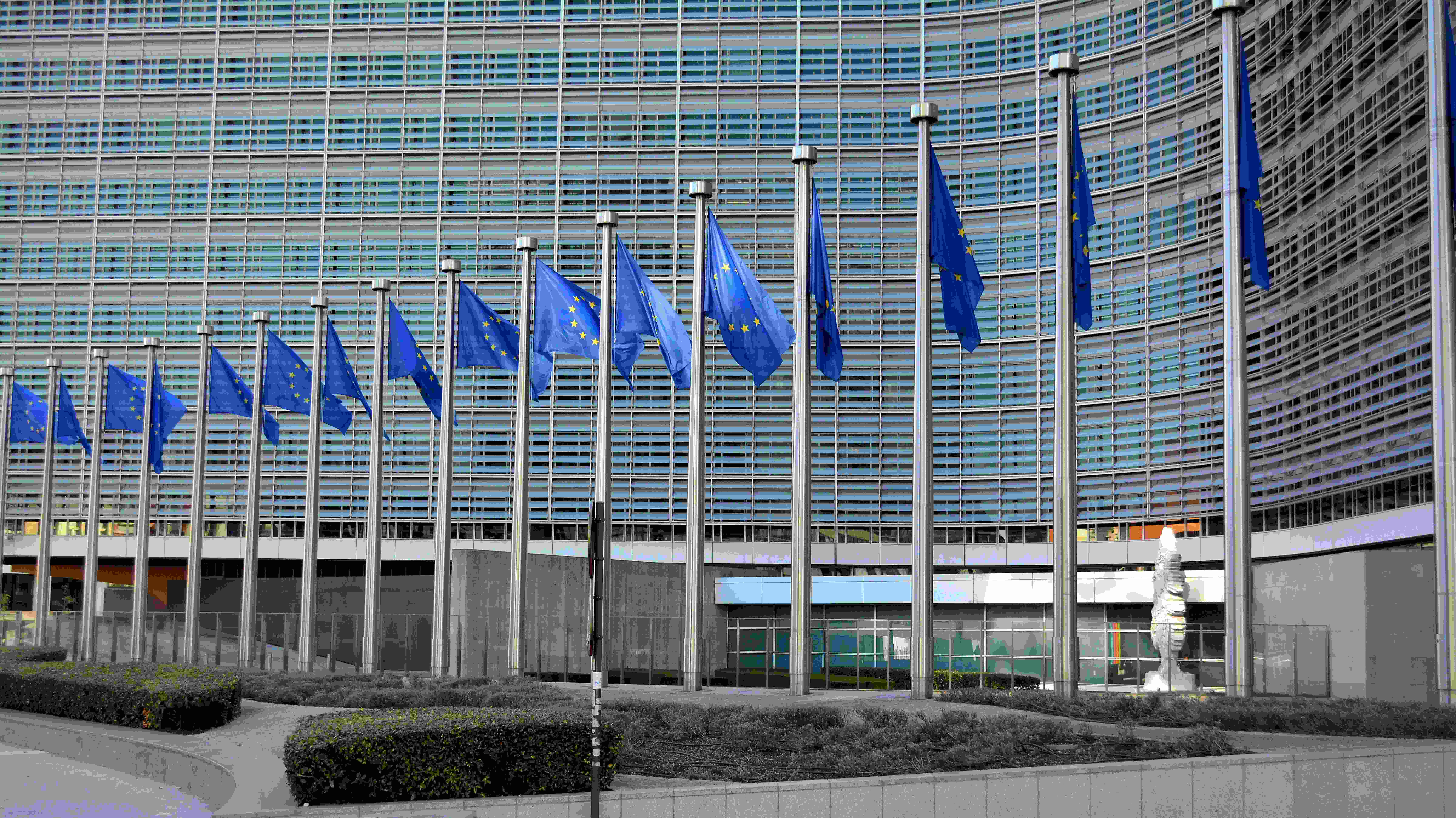 An illustrative photo of multiple flags of the European Union.