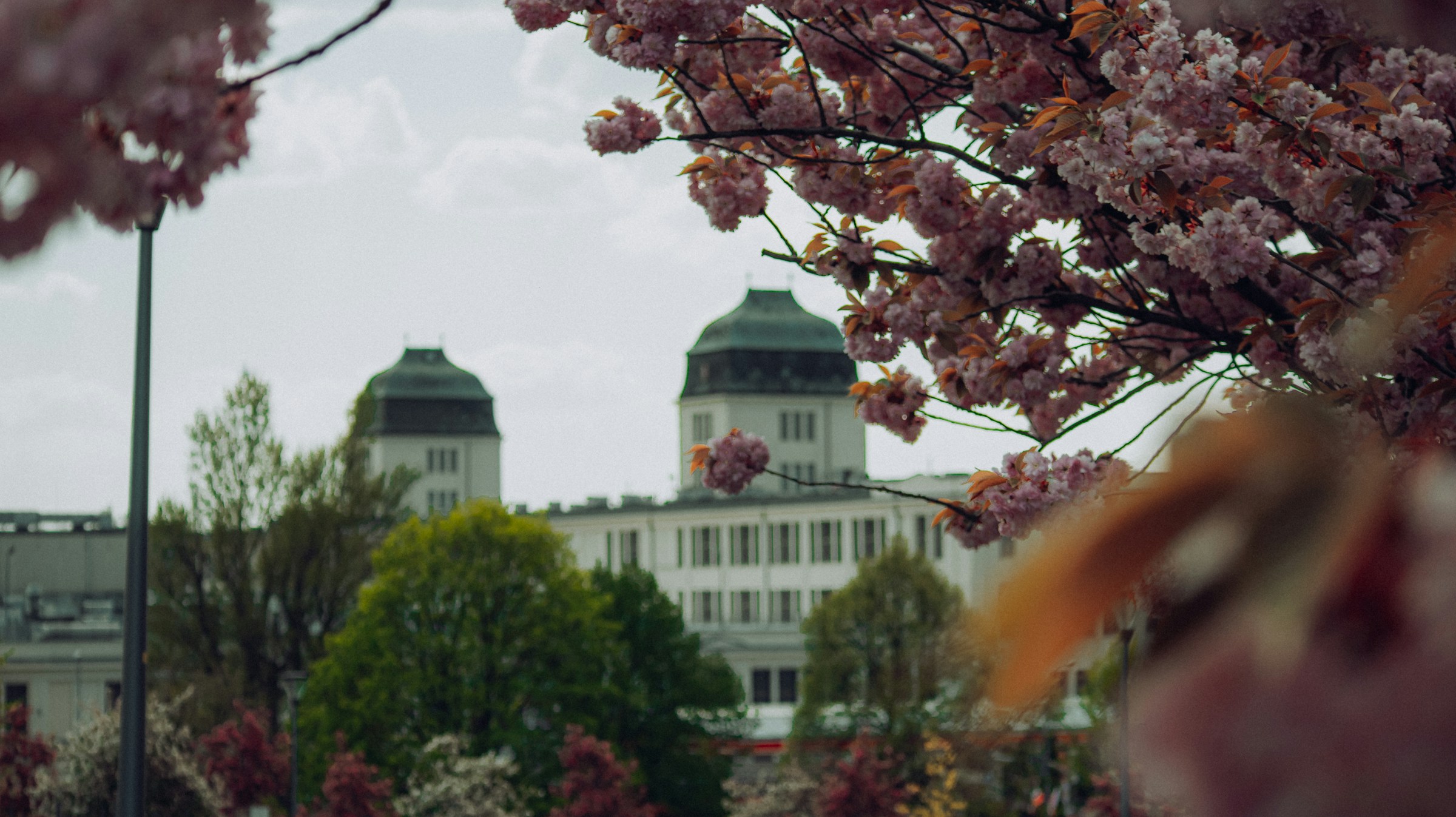An illustrative photo of a building with a dome roof and trees in front.
