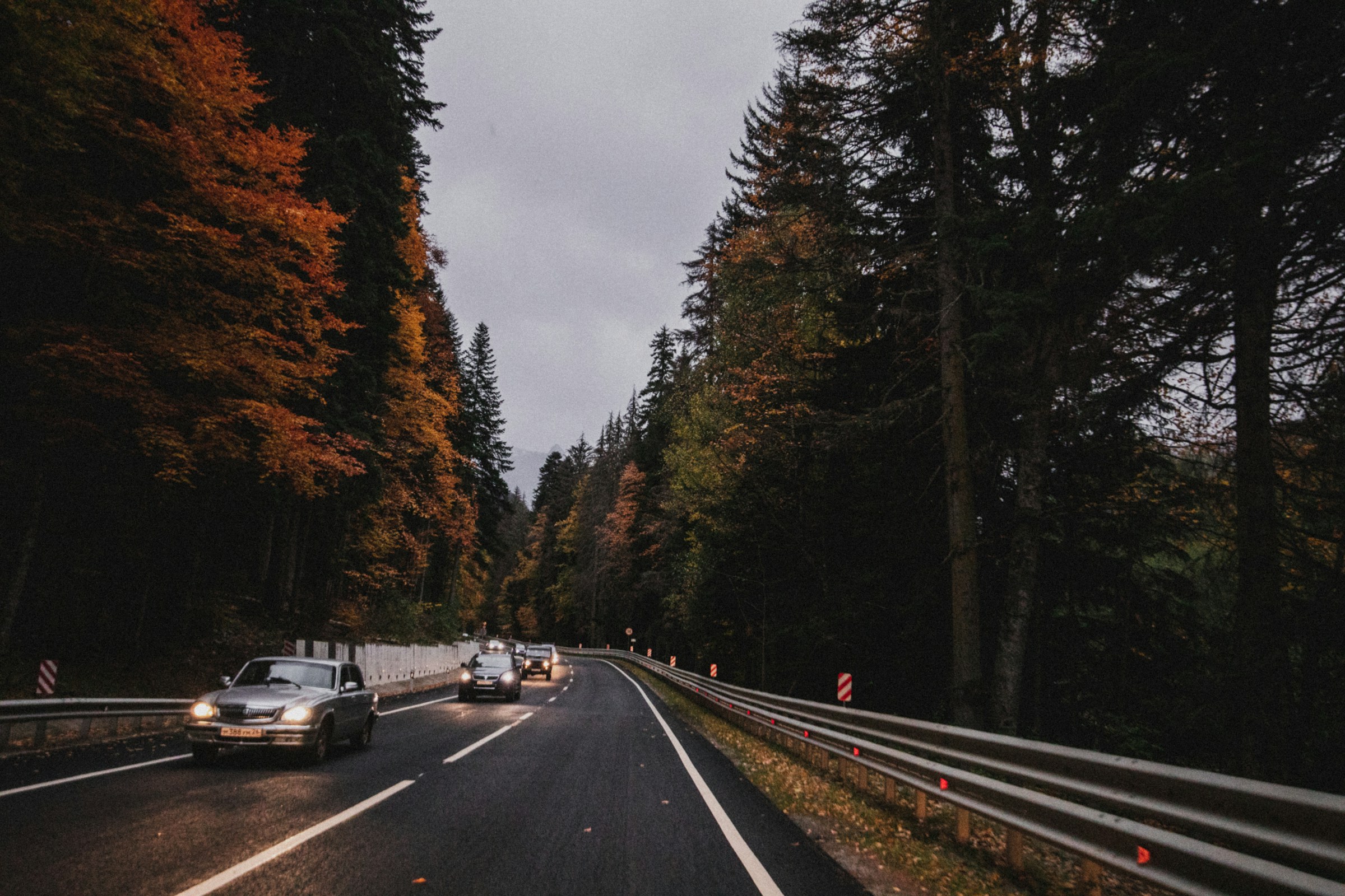 An illustrative photo of cars on road between trees.