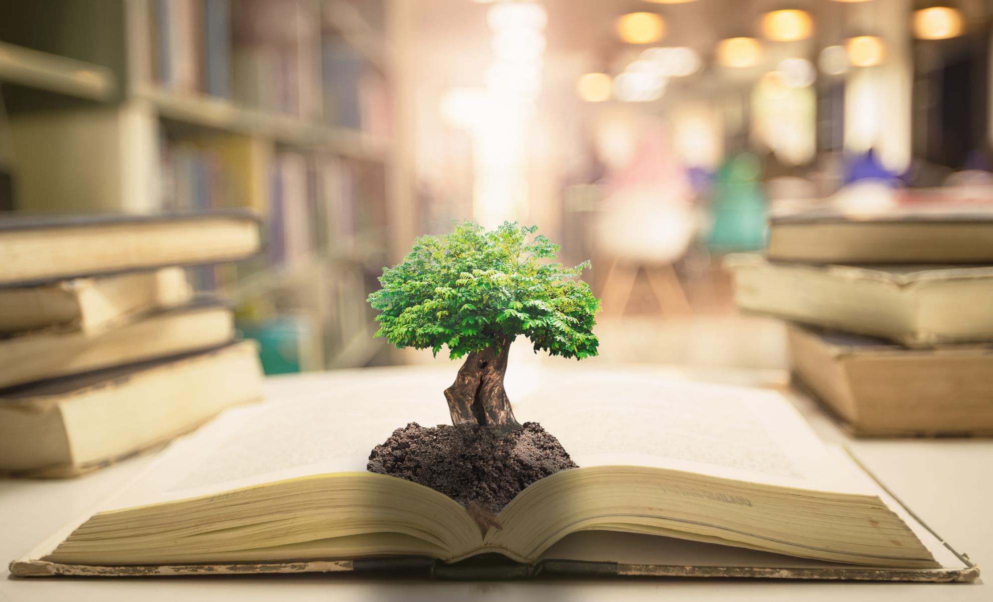 tree coming out of a book