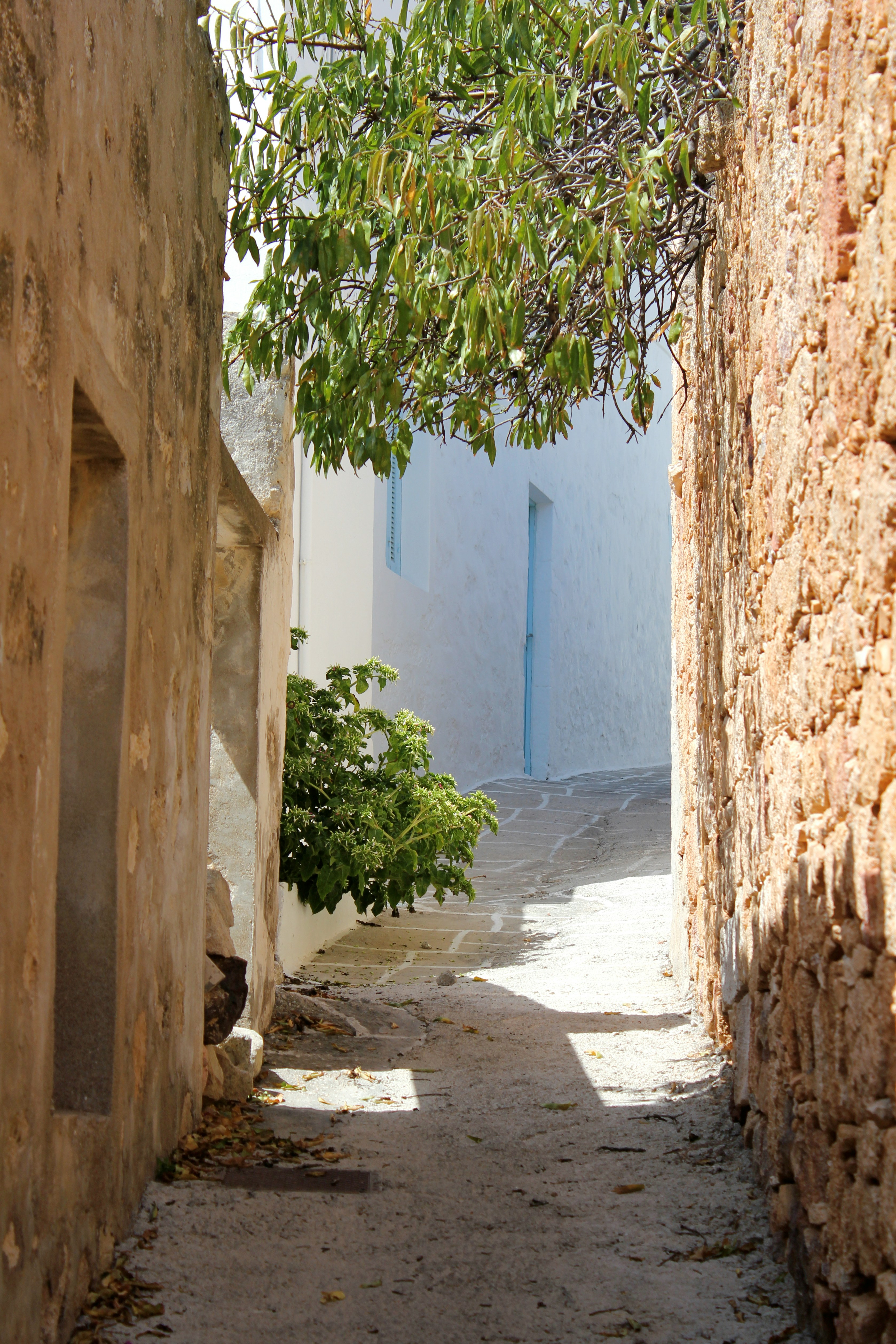 Photo by Unsplash