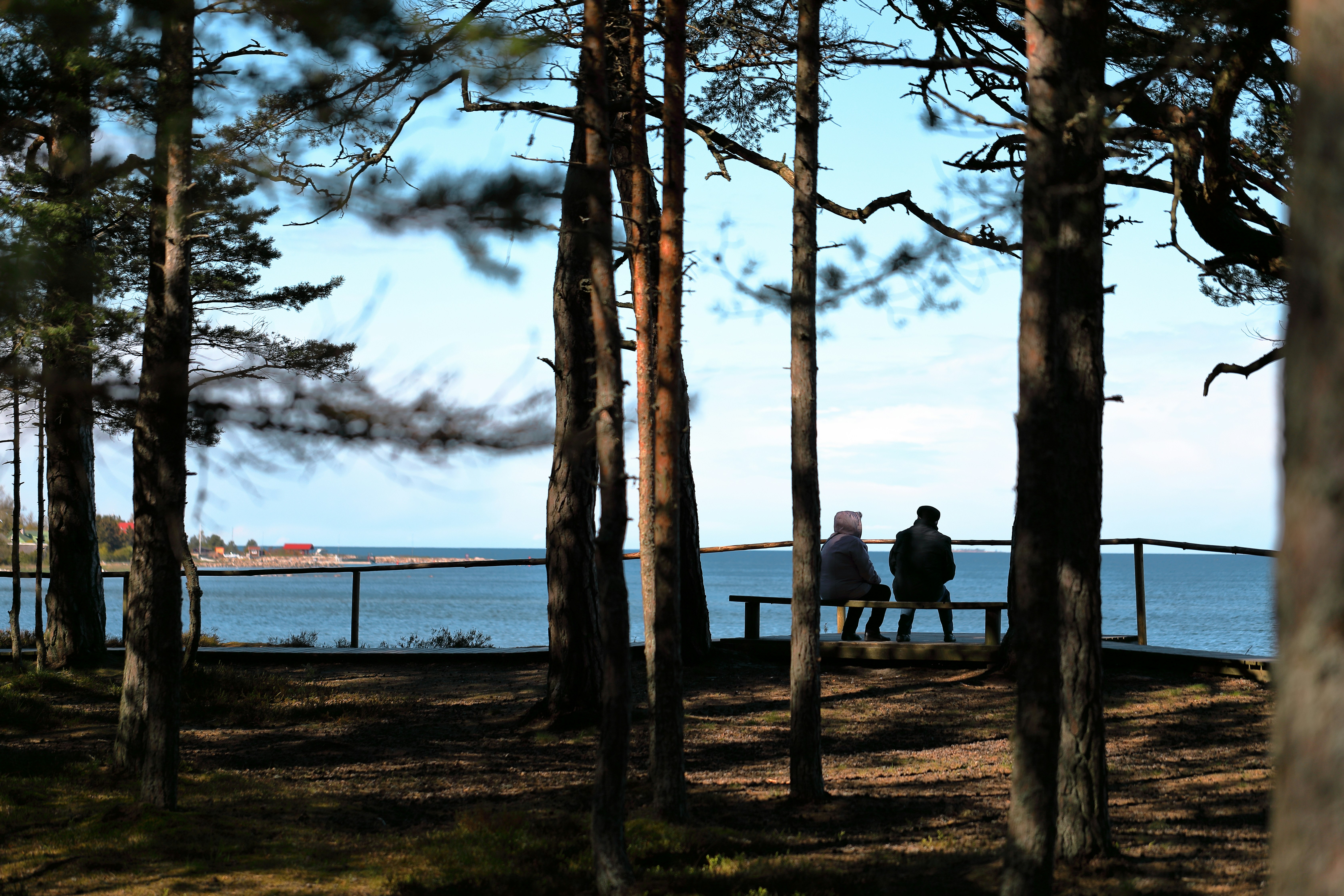 People on a bench in a forest overlooking the sea
