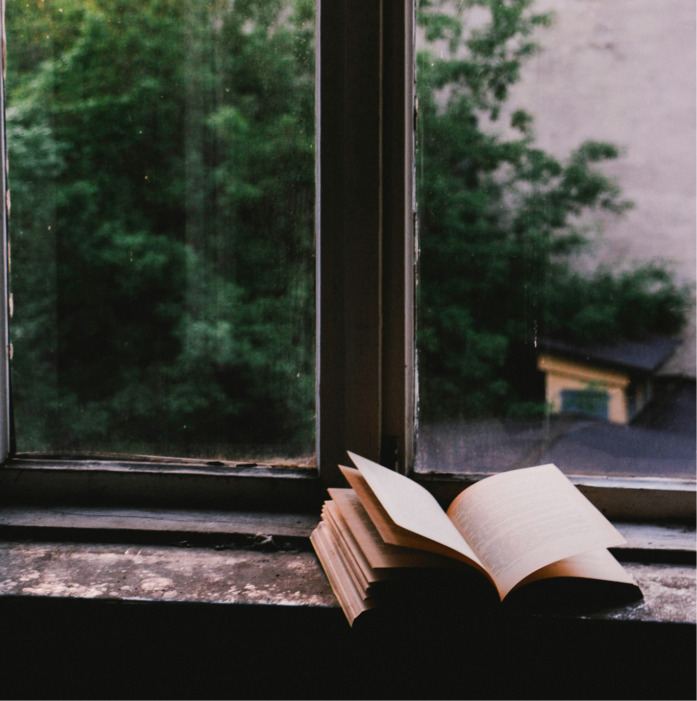 An open book resting on a windowsill, with trees visible through the window.