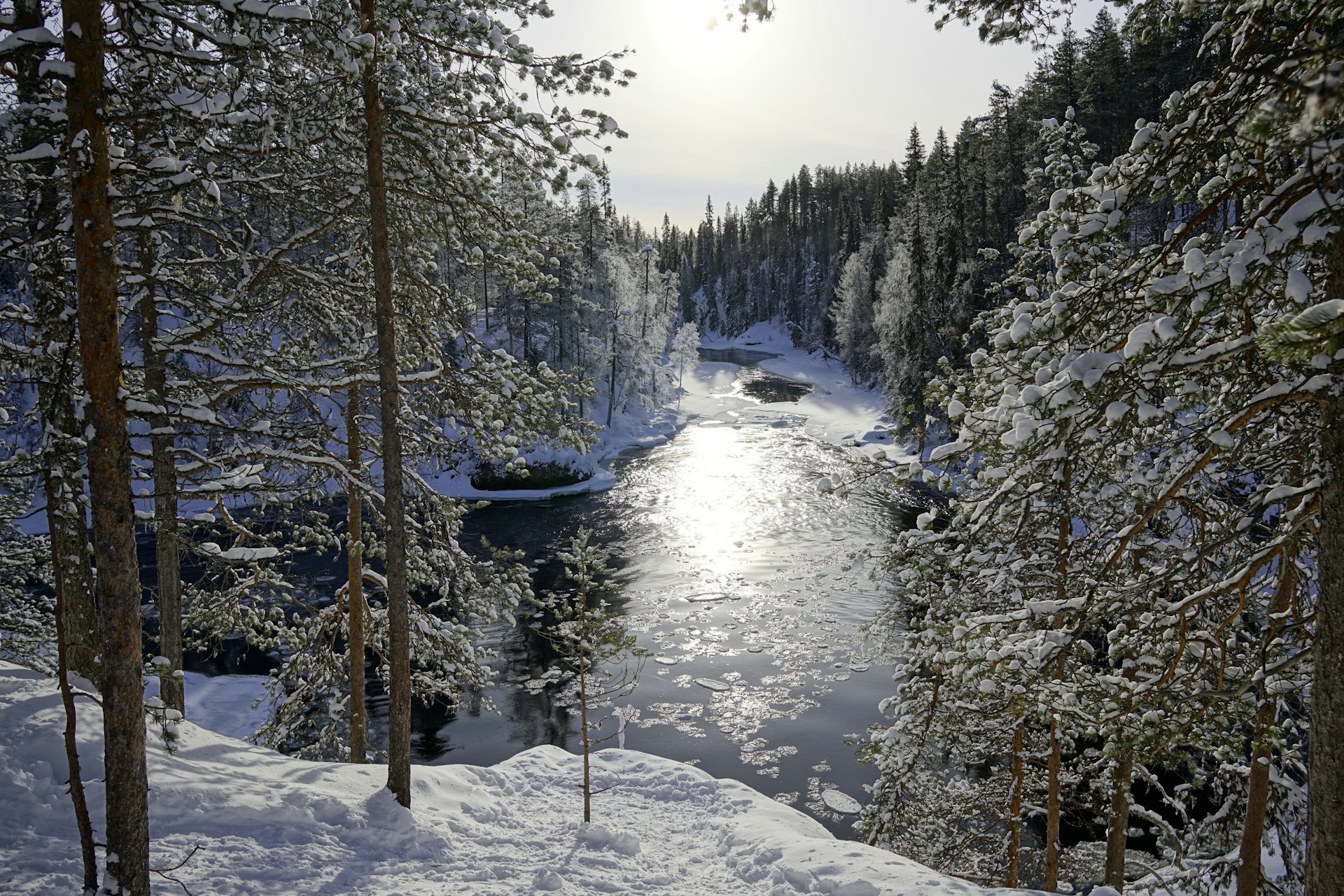a-river-running-through-a-snow-covered-forest