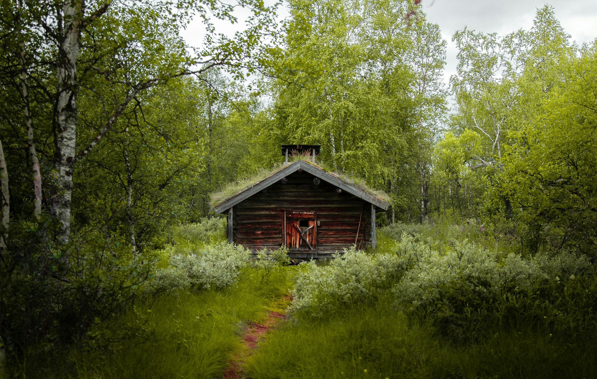 brown-wooden-house-in-the-middle-of-green-trees