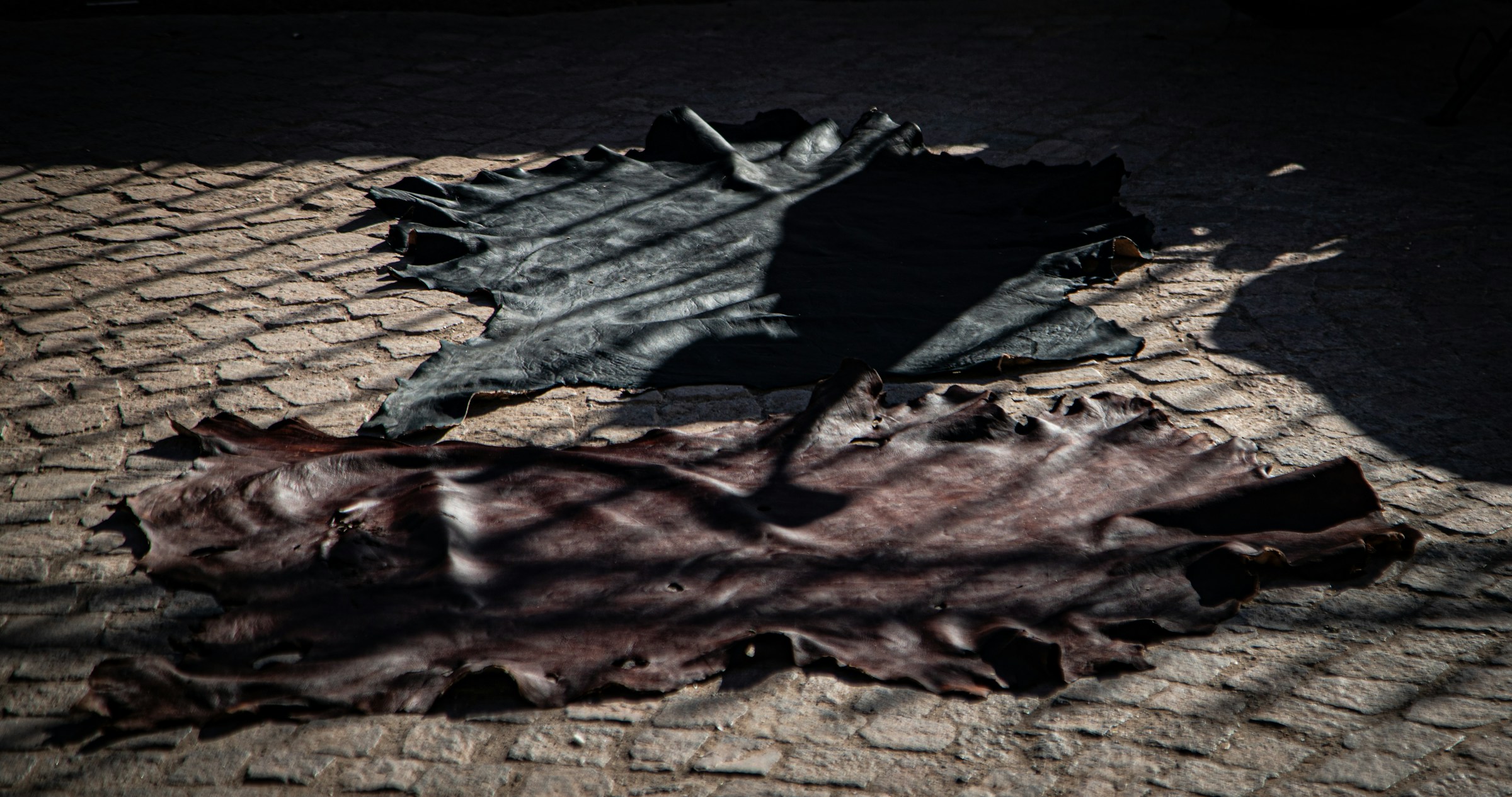 Two different pieces of leather laid out on surface and drying under the sun. 