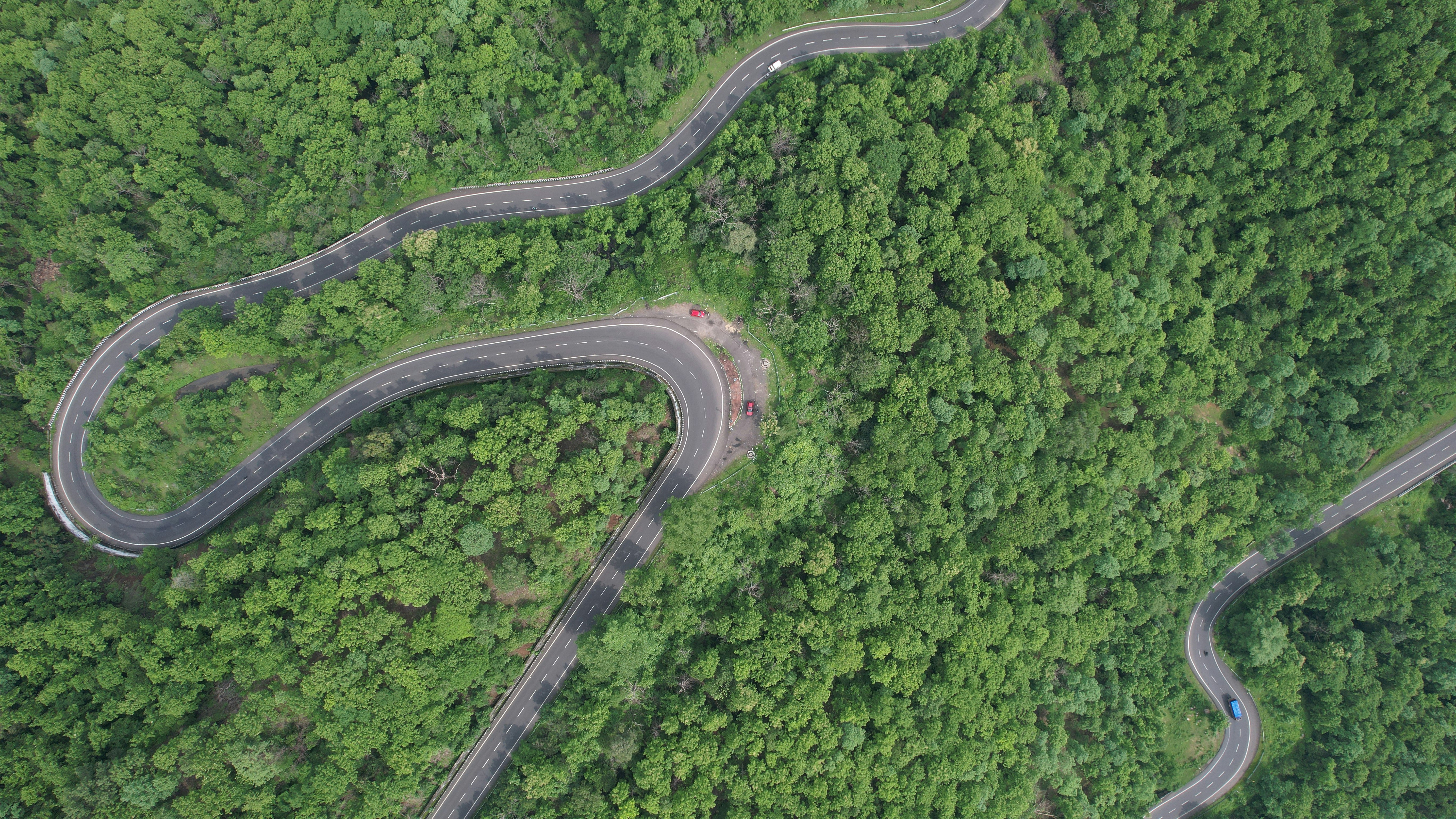 A winding road in the middle of a forest
