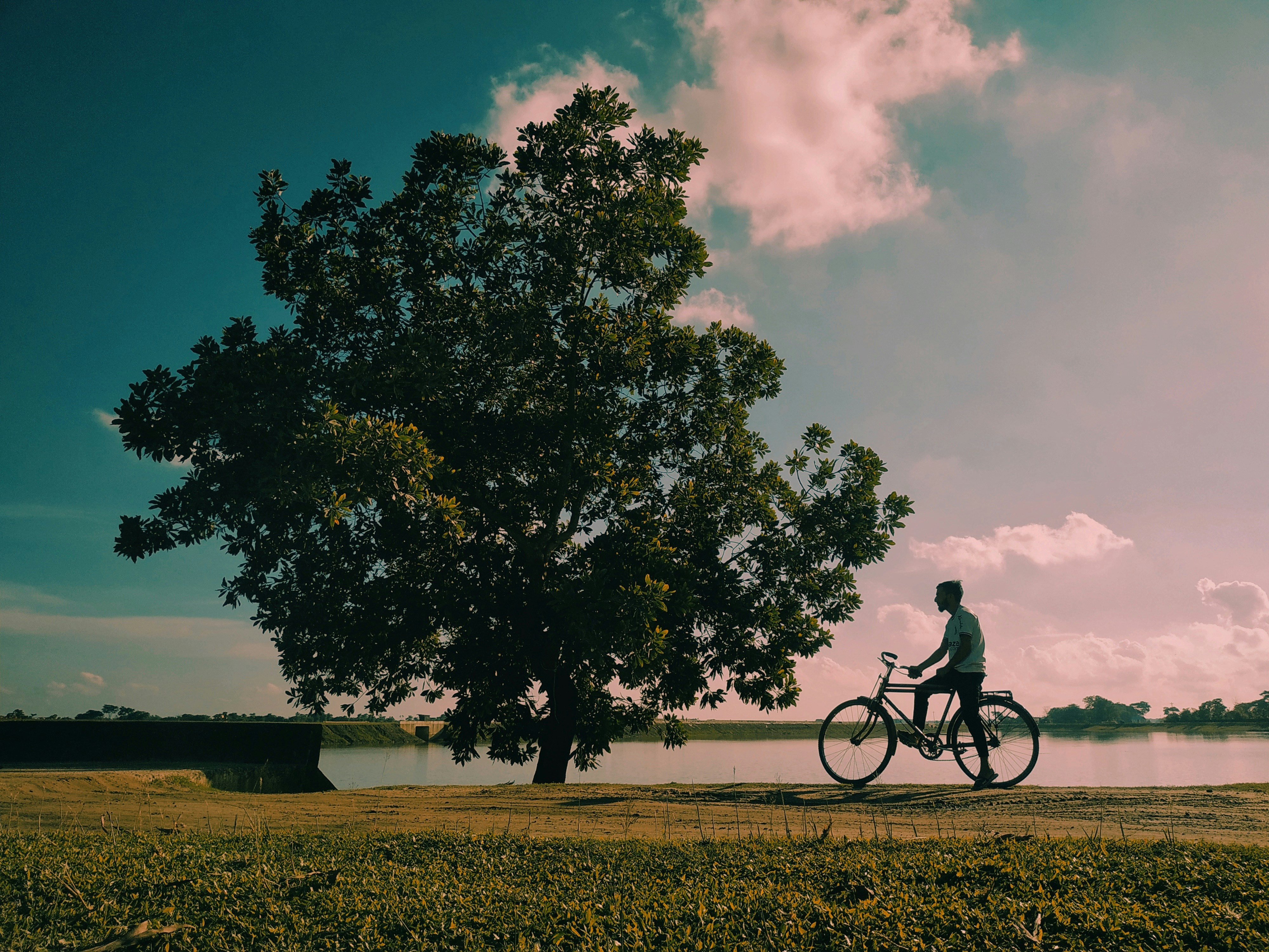 man-with-bicycle-near-a-large-tree-and-water
