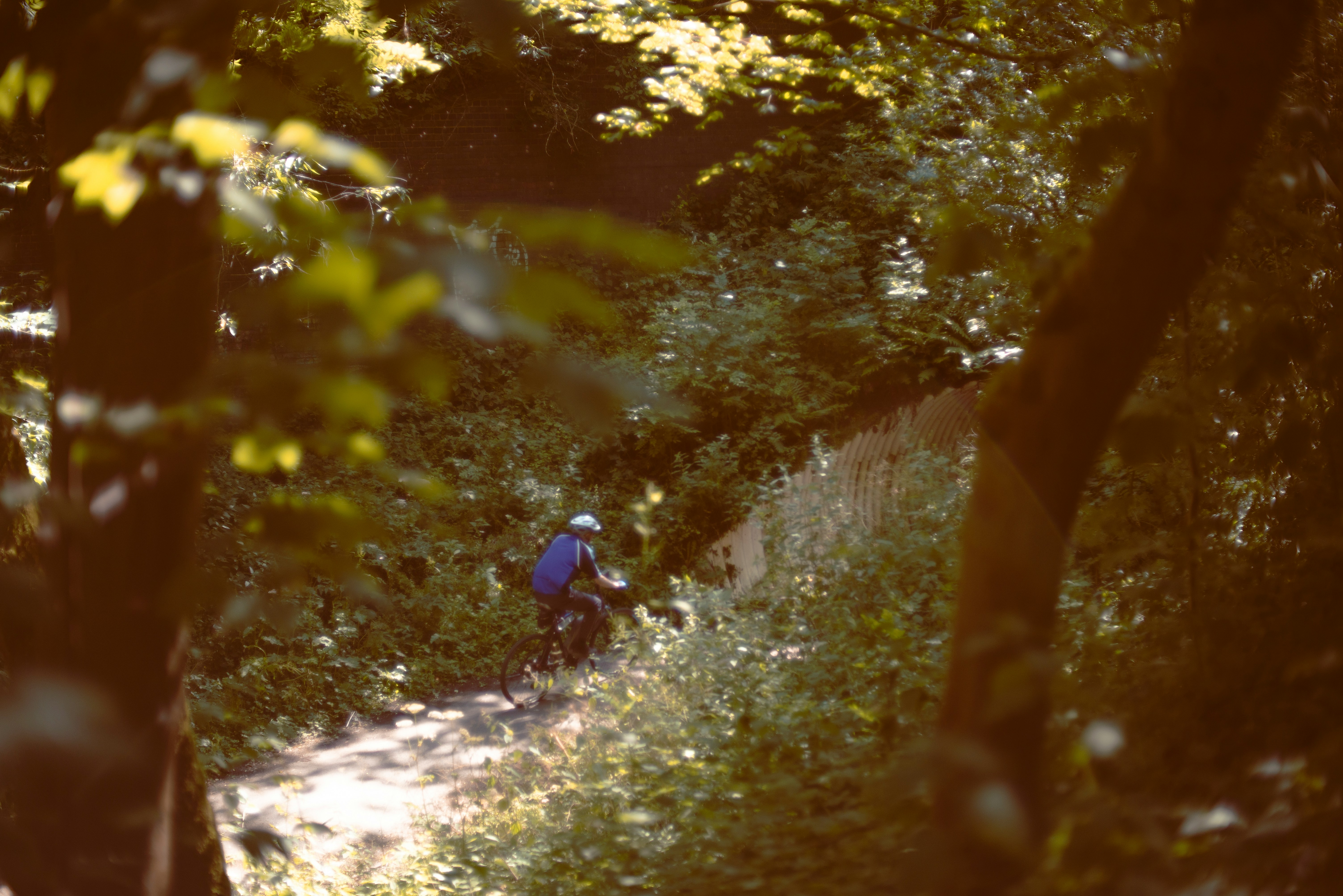 a-person-riding-a-bike-on-a-path-in-the-woods