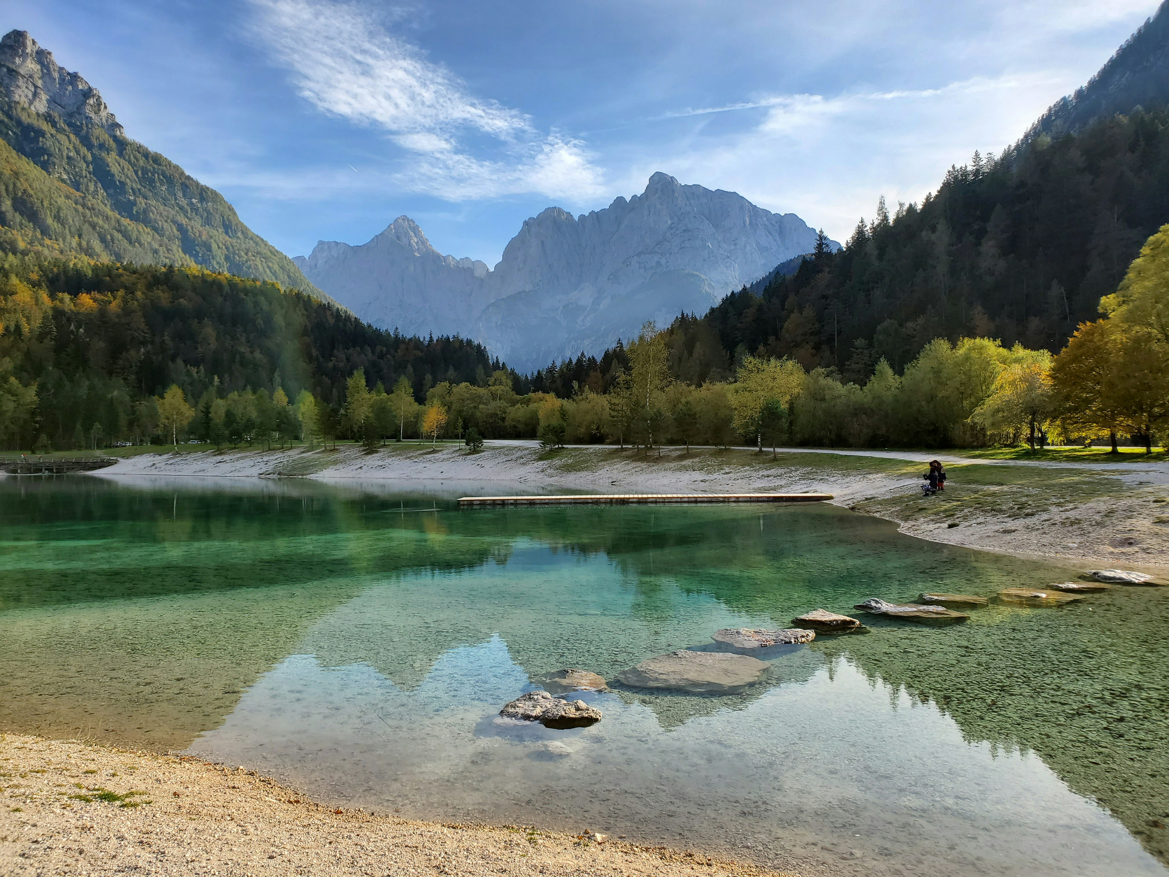 green-trees-near-lake-under-blue-sky-during-daytime