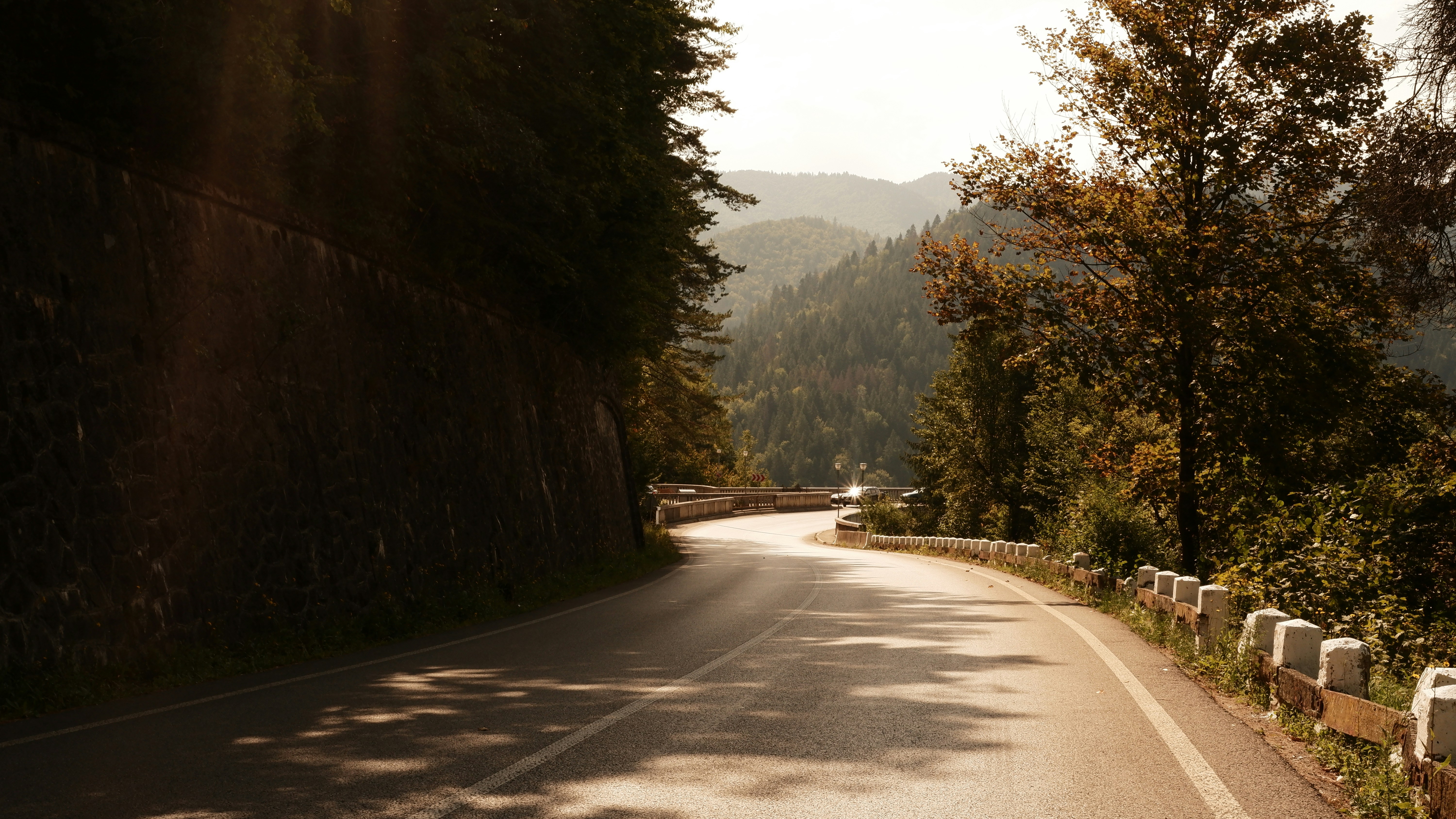 winding-mountain-road-through-a-forest