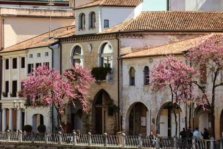 a-body-of-water-surrounded-by-buildings-and-trees