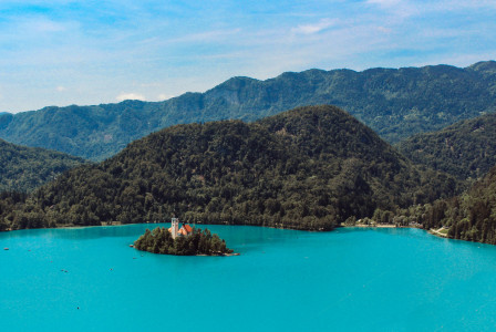 green-trees-on-island-surrounded-by-water-during-daytime