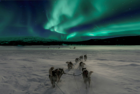 /scenery-of-aurora