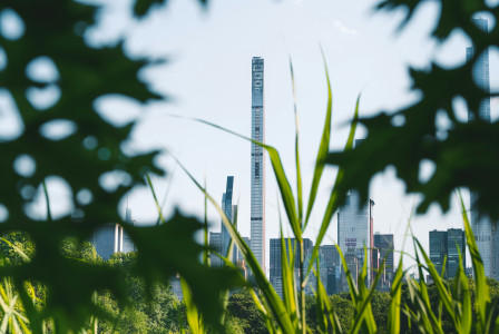 The picture presents the power plant behind the plants.