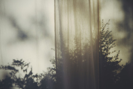 white linen curtain with shadow of plants