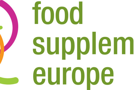 FSE Logo