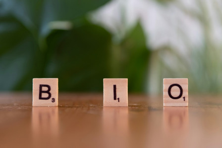 A picture presents the word “BIO” spelled with letter tiles.