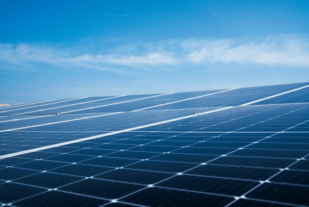 A photo presenting rows of solar panels beneath a clear blue sky.