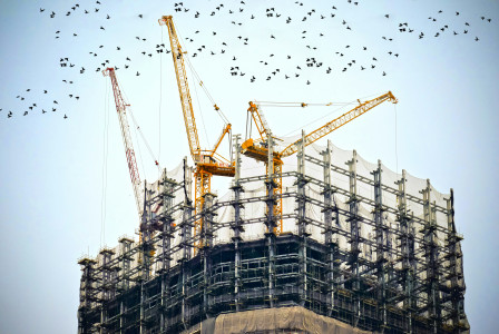 The picture presents a high-rise building under construction with cranes and birds overhead.