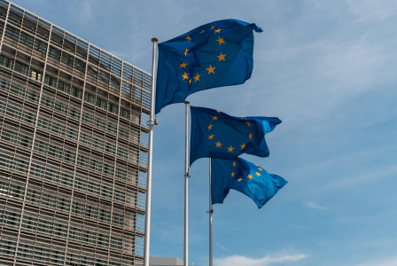 European blue flags in front of building