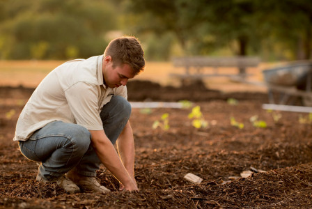 The photo presents a man working in a field.