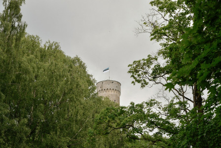 The photo presents the Estonian flag flying above a historic tower surrounded by trees.