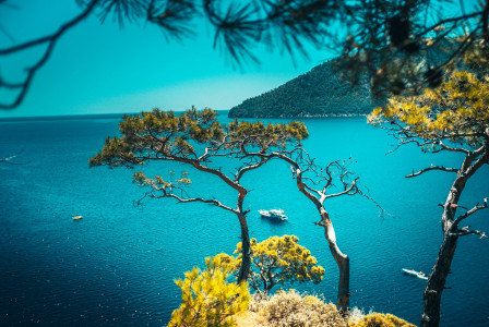 The photo presents a coastal landscape with trees and boats.