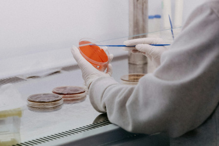 The photo presents a researcher working with laboratory samples.