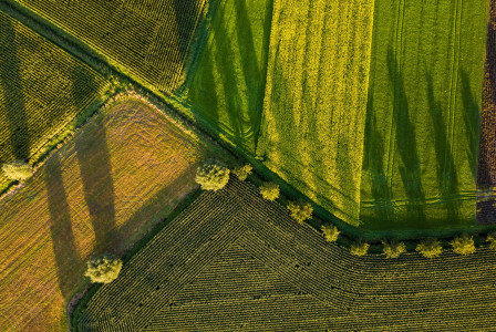 The photo presents green agricultural fields from above.