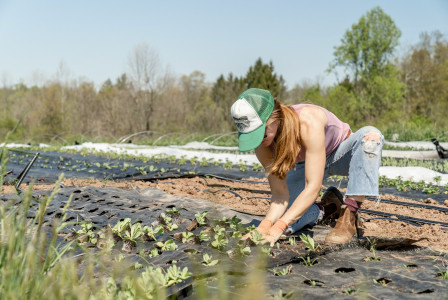 The photo presents a woman planting crops in a field.