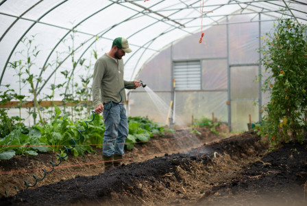 The photo presents a farmer watering plants in a greenhouse.