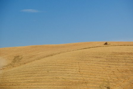The photo presents a dry field under a blue sky.