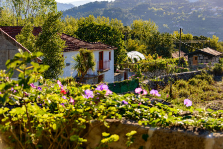 The photo presents rural houses surrounded by trees, gardens and purple flowers, with green hills in the background.