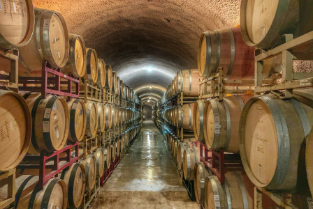 The photo presents rows of wooden wine barrels stacked on both sides of a narrow cellar with an arched ceiling.
