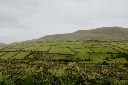 The photo presents green fields divided by hedgerows and stone walls, with scattered houses at the foot of a broad hillside beneath an overcast sky.