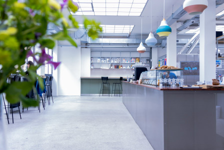 The photo presents a bright, modern café with a long counter, a glass food display, bar stools and colourful pendant lights, with plants in the foreground.