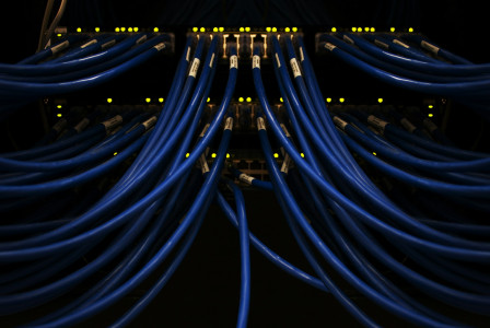 The photo presents network cables connected to servers.