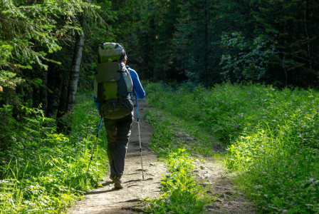 The photo presents a hiker walking through a forest.